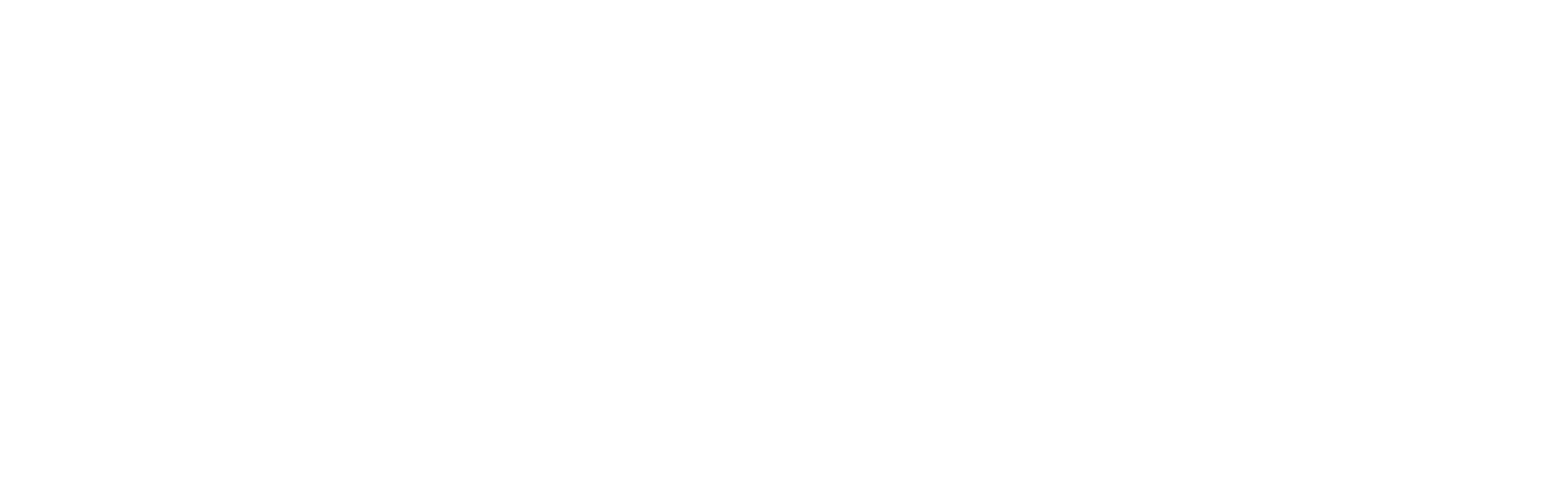 Globussoft